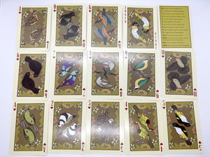 Spark Bird Card Decks